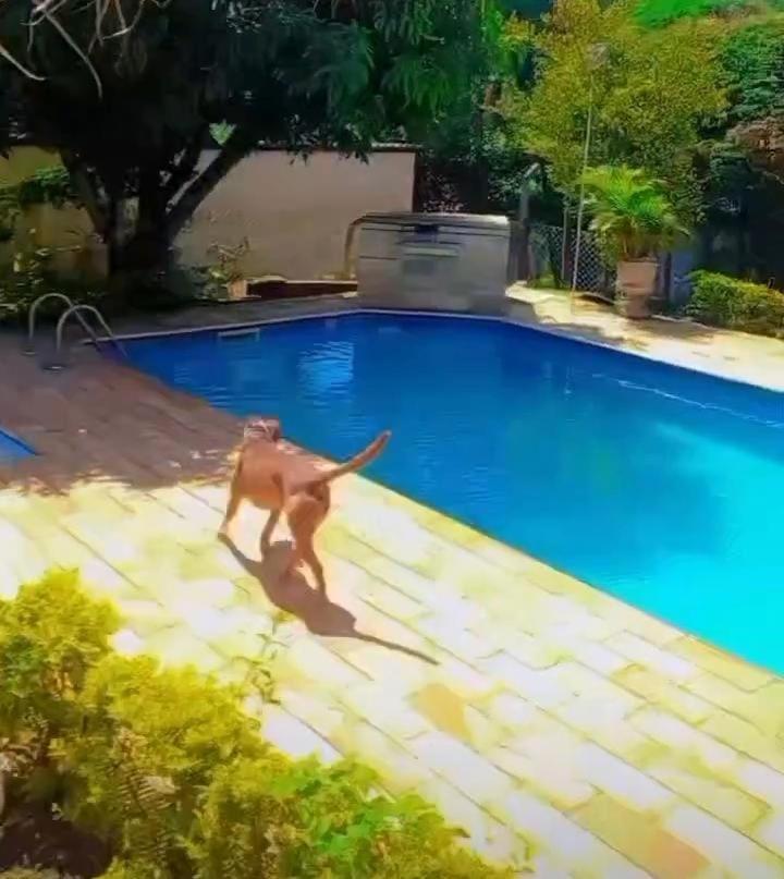 Casa Com Piscina - Itupeva Villa Kültér fotó